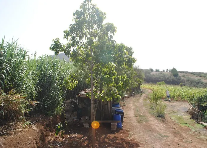 Finca El Lomo